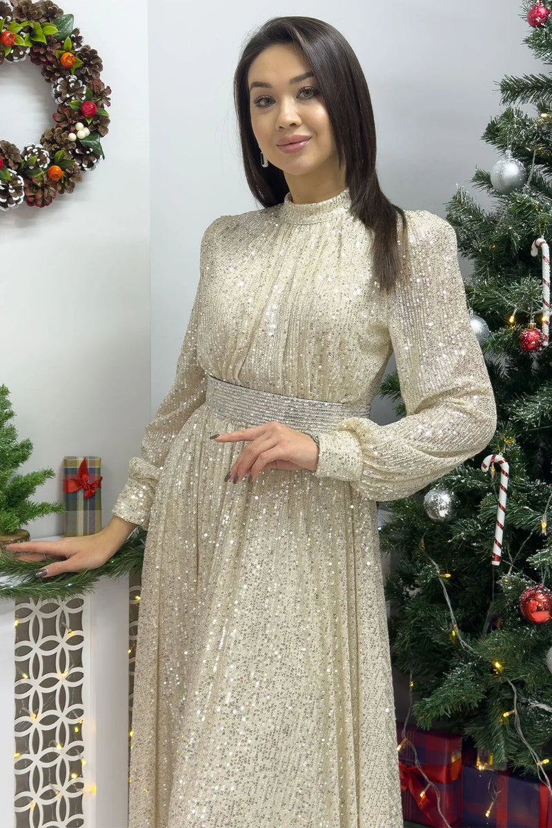 Bej Pul Payet Büzgü Detay Maxi Abiye Elbise - the ZKS