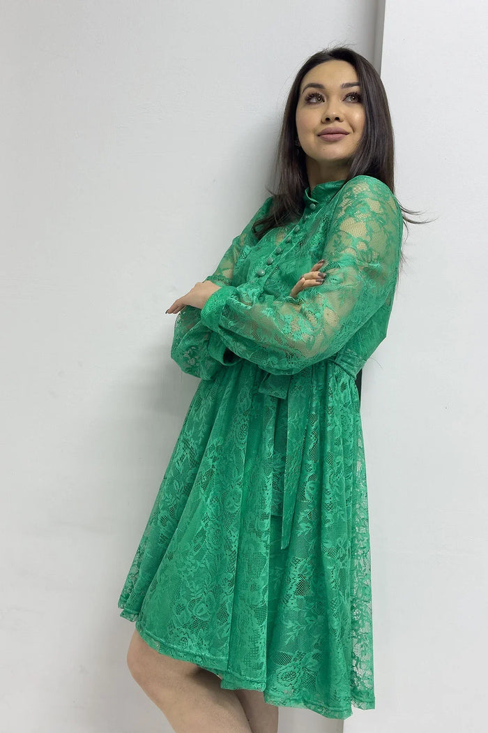 Yeşil Fransız Güpür Düğmeli Büyük Beden Abiye Elbise

